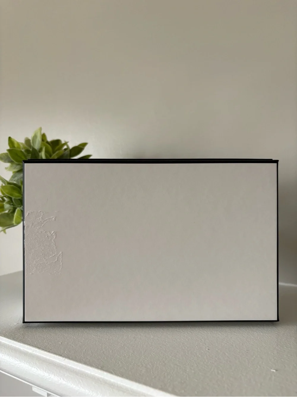 CHANEL White Box with Black Accent